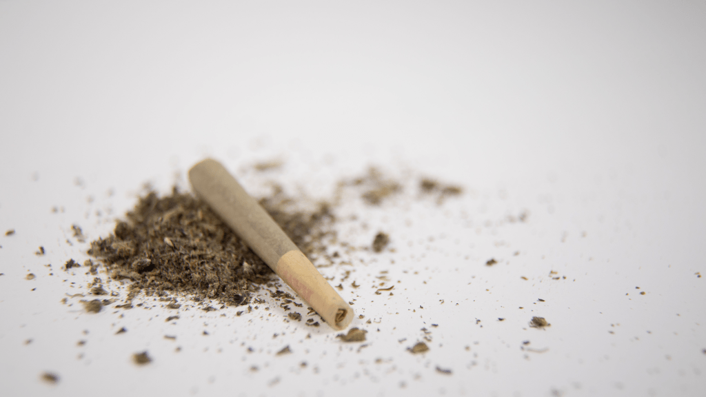 Legal Doesn’t Mean Allowed: Cannabis Consumption Policies at MLB Parks